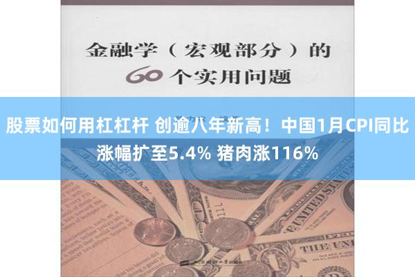 股票如何用杠杠杆 创逾八年新高！中国1月CPI同比涨幅扩至5.4% 猪肉涨116%