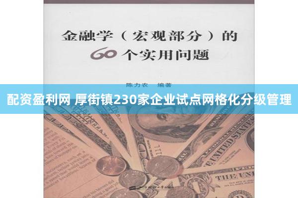 配资盈利网 厚街镇230家企业试点网格化分级管理