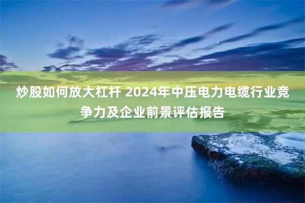 炒股如何放大杠杆 2024年中压电力电缆行业竞争力及企业前景评估报告