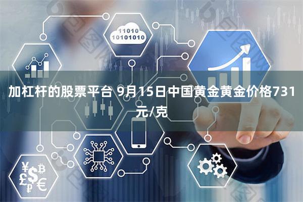 加杠杆的股票平台 9月15日中国黄金黄金价格731元/克