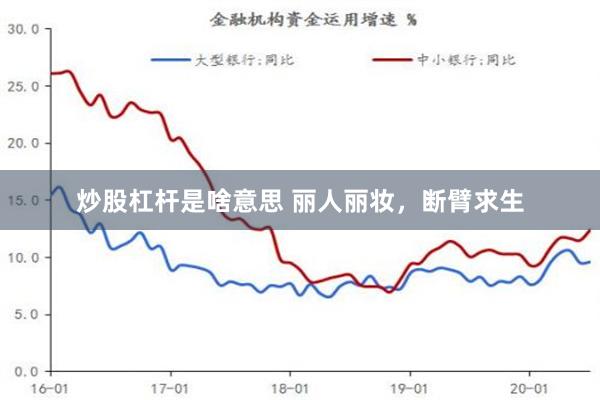 炒股杠杆是啥意思 丽人丽妆，断臂求生