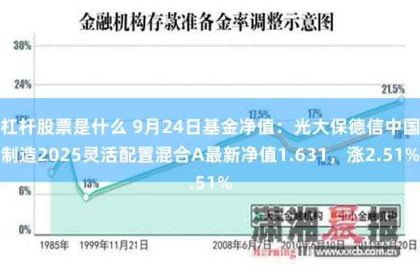 杠杆股票是什么 9月24日基金净值：光大保德信中国制造2025灵活配置混合A最新净值1.631，涨2.51%