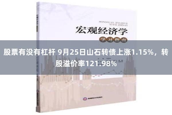 股票有没有杠杆 9月25日山石转债上涨1.15%，转股溢价率121.98%