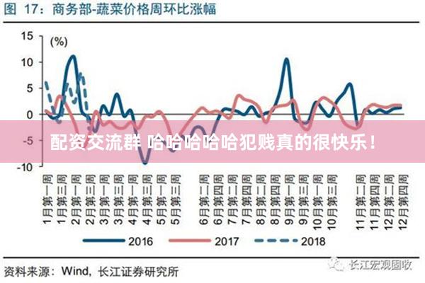 配资交流群 哈哈哈哈哈犯贱真的很快乐！