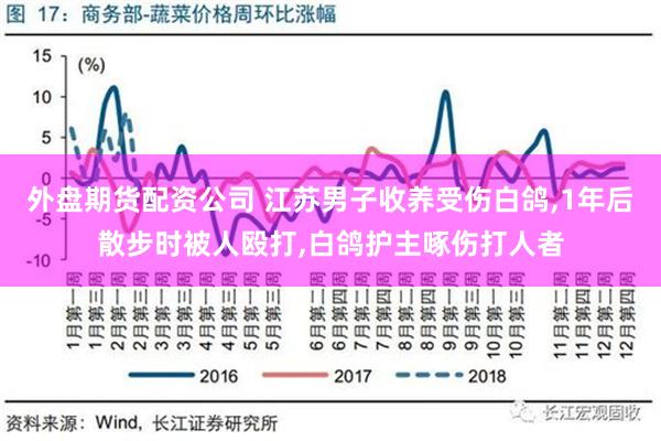 外盘期货配资公司 江苏男子收养受伤白鸽,1年后散步时被人殴打,白鸽护主啄伤打人者