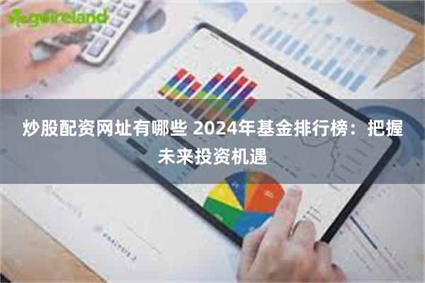 炒股配资网址有哪些 2024年基金排行榜：把握未来投资机遇