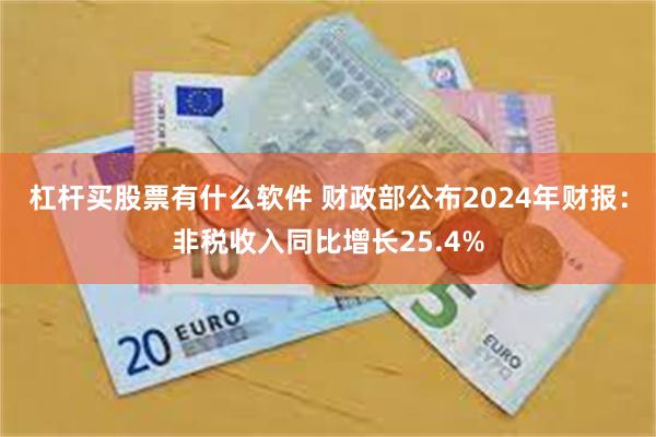 杠杆买股票有什么软件 财政部公布2024年财报：非税收入同比增长25.4%